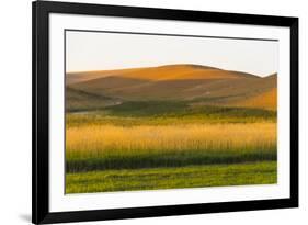 Sunset view of wheat field, Palouse, Washington State, USA-Keren Su-Framed Photographic Print