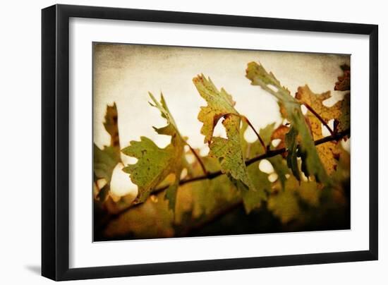 Sunset Vines-Jessica Rogers-Framed Giclee Print