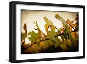 Sunset Vines-Jessica Rogers-Framed Giclee Print