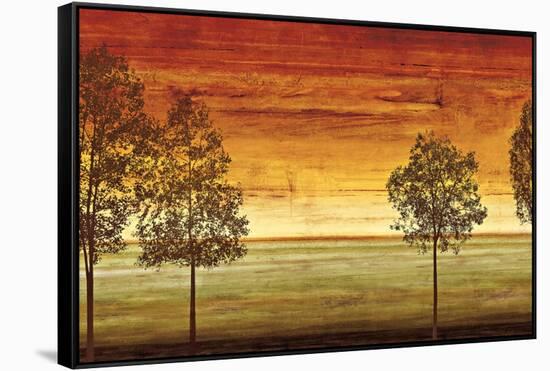 Sunset Vista II-Chris Donovan-Framed Stretched Canvas