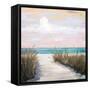 Sunset Walks-Julie DeRice-Framed Stretched Canvas