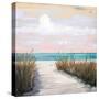 Sunset Walks-Julie DeRice-Stretched Canvas
