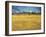 Sunset: Wheat Fields Near Arles, 1888-Vincent van Gogh-Framed Giclee Print