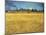 Sunset: Wheat Fields Near Arles, 1888-Vincent van Gogh-Mounted Giclee Print