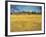 Sunset: Wheat Fields Near Arles, 1888-Vincent van Gogh-Framed Giclee Print