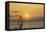 Sunset, Windsurfing, Ocean, Maui, Hawaii, USA-Gerry Reynolds-Framed Stretched Canvas