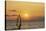 Sunset, Windsurfing, Ocean, Maui, Hawaii, USA-Gerry Reynolds-Stretched Canvas