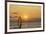 Sunset, Windsurfing, Ocean, Maui, Hawaii, USA-Gerry Reynolds-Framed Photographic Print