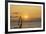 Sunset, Windsurfing, Ocean, Maui, Hawaii, USA-Gerry Reynolds-Framed Photographic Print