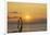 Sunset, Windsurfing, Ocean, Maui, Hawaii, USA-Gerry Reynolds-Framed Photographic Print