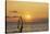 Sunset, Windsurfing, Ocean, Maui, Hawaii, USA-Gerry Reynolds-Stretched Canvas