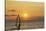 Sunset, Windsurfing, Ocean, Maui, Hawaii, USA-Gerry Reynolds-Stretched Canvas