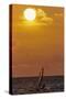 Sunset, Windsurfing, Ocean, Maui, Hawaii, USA-Gerry Reynolds-Stretched Canvas