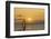 Sunset, Windsurfing, Ocean, Maui, Hawaii, USA-Gerry Reynolds-Framed Photographic Print