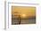 Sunset, Windsurfing, Ocean, Maui, Hawaii, USA-Gerry Reynolds-Framed Photographic Print