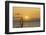 Sunset, Windsurfing, Ocean, Maui, Hawaii, USA-Gerry Reynolds-Framed Premium Photographic Print