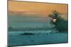 Sunset: Winter Landscape, 1989-Gillian Furlong-Mounted Premium Giclee Print