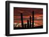 Sunset with Cactus, Baja California, Mexico-Christian Heeb-Framed Photographic Print