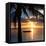 Sunset with Floating Platform - Miami - Florida-Philippe Hugonnard-Framed Stretched Canvas