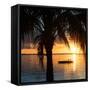 Sunset with Floating Platform - Miami - Florida-Philippe Hugonnard-Framed Stretched Canvas