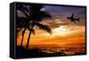 Sunset with Palm Tree and Airplane Silhouettes-krisrobin-Framed Stretched Canvas