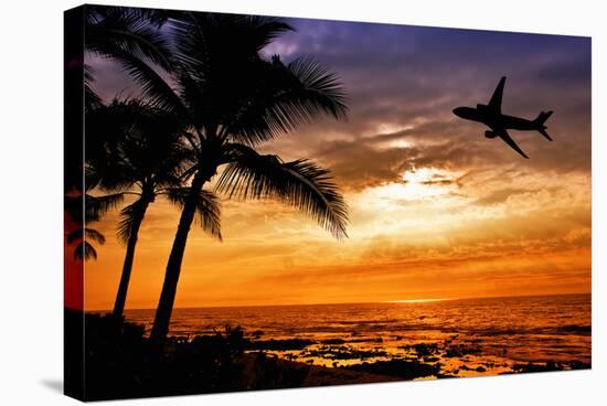 Sunset with Palm Tree and Airplane Silhouettes-krisrobin-Stretched Canvas