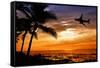 Sunset with Palm Tree and Airplane Silhouettes-krisrobin-Framed Stretched Canvas
