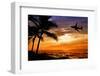 Sunset with Palm Tree and Airplane Silhouettes-krisrobin-Framed Premium Photographic Print