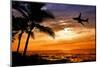 Sunset with Palm Tree and Airplane Silhouettes-krisrobin-Mounted Premium Photographic Print