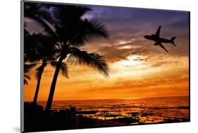 Sunset with Palm Tree and Airplane Silhouettes-krisrobin-Mounted Photographic Print