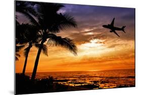 Sunset with Palm Tree and Airplane Silhouettes-krisrobin-Mounted Photographic Print