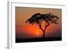 Sunset with Silhouetted African Acacia Tree, Amboseli National Park, Kenya-EcoPrint-Framed Photographic Print