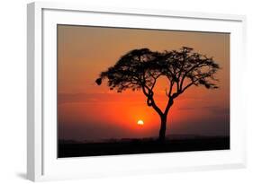 Sunset with Silhouetted African Acacia Tree, Amboseli National Park, Kenya-EcoPrint-Framed Photographic Print