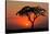 Sunset with Silhouetted African Acacia Tree, Amboseli National Park, Kenya-EcoPrint-Stretched Canvas