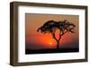 Sunset with Silhouetted African Acacia Tree, Amboseli National Park, Kenya-EcoPrint-Framed Photographic Print