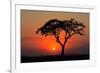 Sunset with Silhouetted African Acacia Tree, Amboseli National Park, Kenya-EcoPrint-Framed Photographic Print