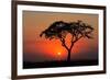 Sunset with Silhouetted African Acacia Tree, Amboseli National Park, Kenya-EcoPrint-Framed Photographic Print