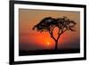 Sunset with Silhouetted African Acacia Tree, Amboseli National Park, Kenya-EcoPrint-Framed Photographic Print