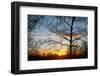 Sunset with Trees, Silhouette, Cross, Paris, France-Skaya-Framed Photographic Print