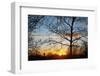 Sunset with Trees, Silhouette, Cross, Paris, France-Skaya-Framed Photographic Print