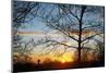 Sunset with Trees, Silhouette, Cross, Paris, France-Skaya-Mounted Photographic Print