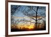 Sunset with Trees, Silhouette, Cross, Paris, France-Skaya-Framed Photographic Print