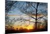 Sunset with Trees, Silhouette, Cross, Paris, France-Skaya-Mounted Photographic Print