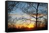 Sunset with Trees, Silhouette, Cross, Paris, France-Skaya-Framed Stretched Canvas