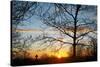 Sunset with Trees, Silhouette, Cross, Paris, France-Skaya-Stretched Canvas