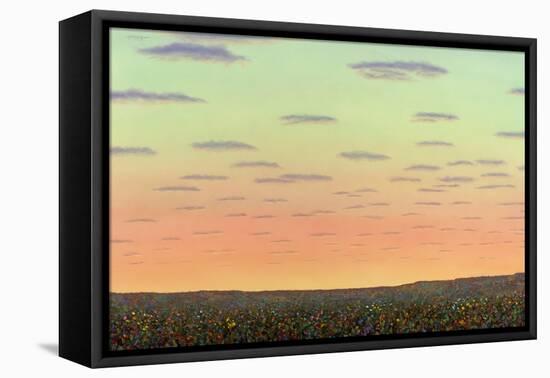 Sunset with Wildflowers-James W. Johnson-Framed Stretched Canvas