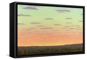 Sunset with Wildflowers-James W. Johnson-Framed Stretched Canvas