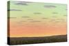 Sunset with Wildflowers-James W. Johnson-Stretched Canvas