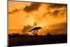 Sunset, Zululand, South Africa-Laura Grier-Mounted Photographic Print