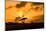 Sunset, Zululand, South Africa-Laura Grier-Mounted Photographic Print